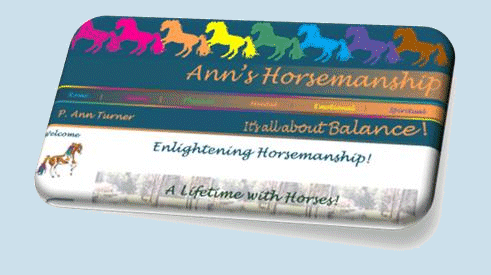 Anns Horsemanship